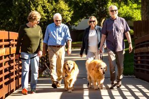 Active senior living holly creek residents walking dogs