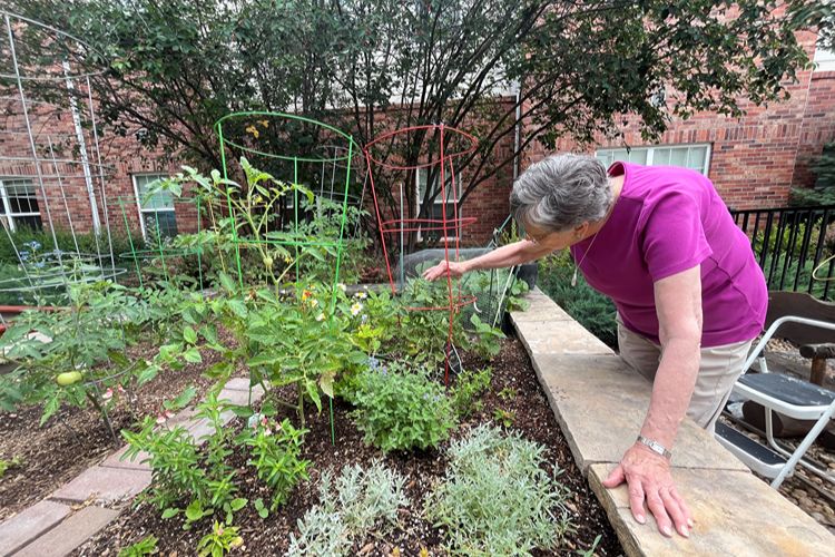 holly creek resident tends to raised garden bed