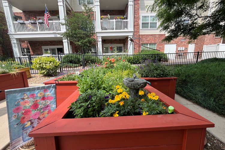 resident raised garden beds